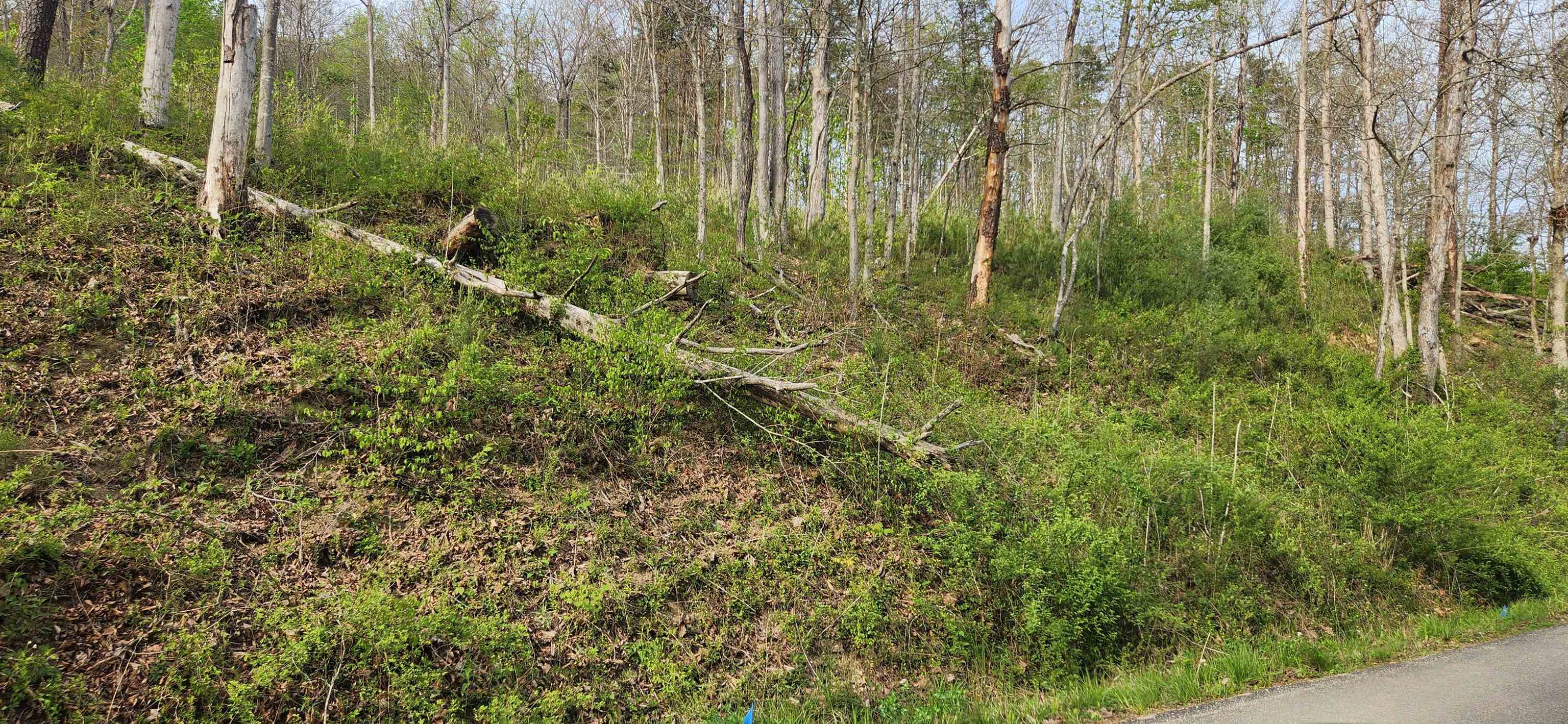 Stinson Creek Road Grayson, KY 41143 - Photo 13 of 14
