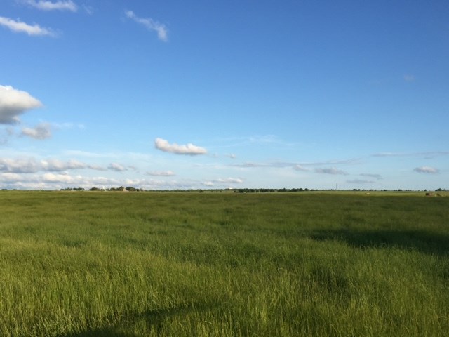 3 County Road 466 Elgin, TX 78621 - Photo 1 of 1