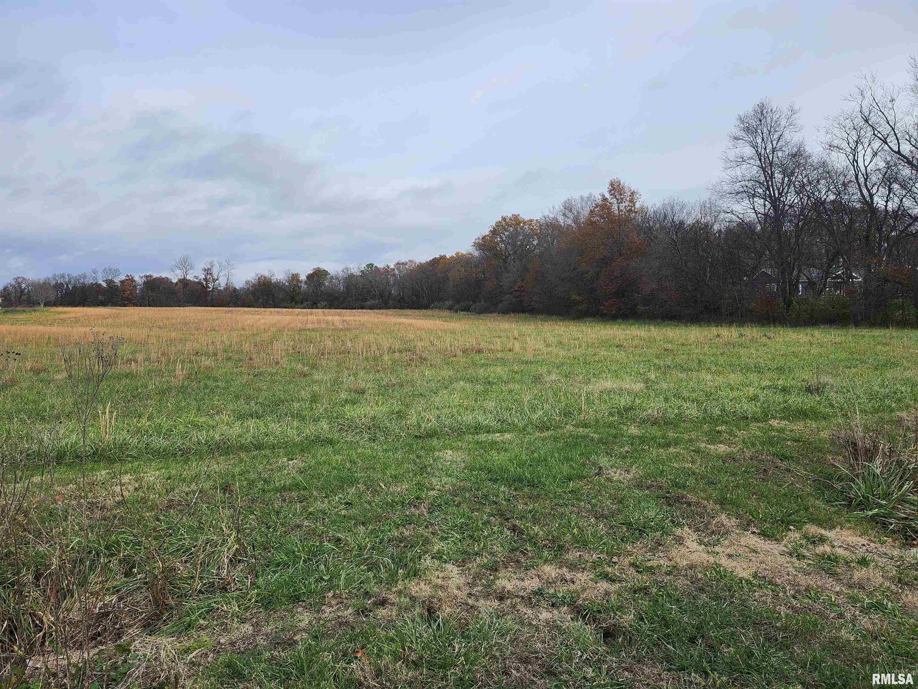 0 East Savanna Road Mount Vernon, IL 62864 - Photo 6 of 6