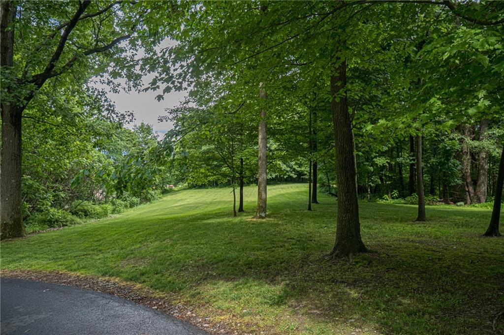 234 Overbrook Road Valencia, PA 16059 - Photo 23 of 25 Yard.