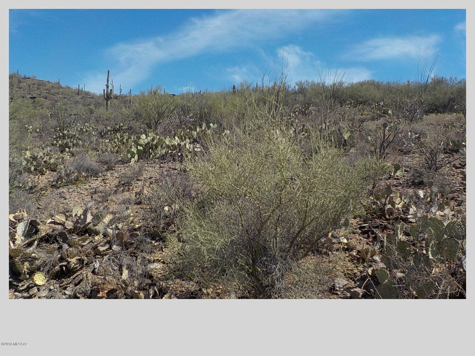 4400 South Century Road Tucson, AZ 85746 - Photo 5 of 5 Gallery Image 5
