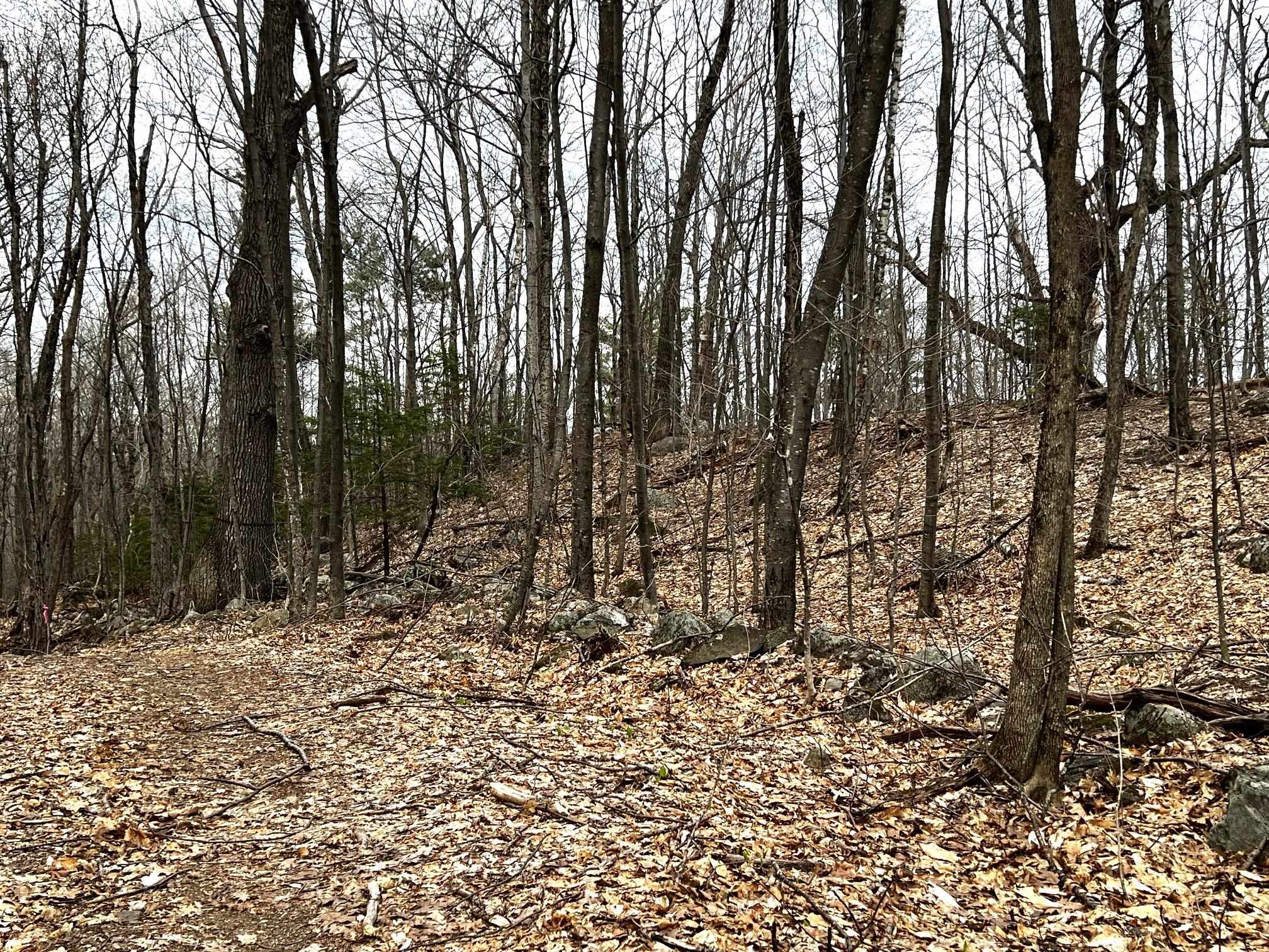 207000001 North Range Road Salisbury, NH 03268 - Photo 10 of 19 Gallery Image 10