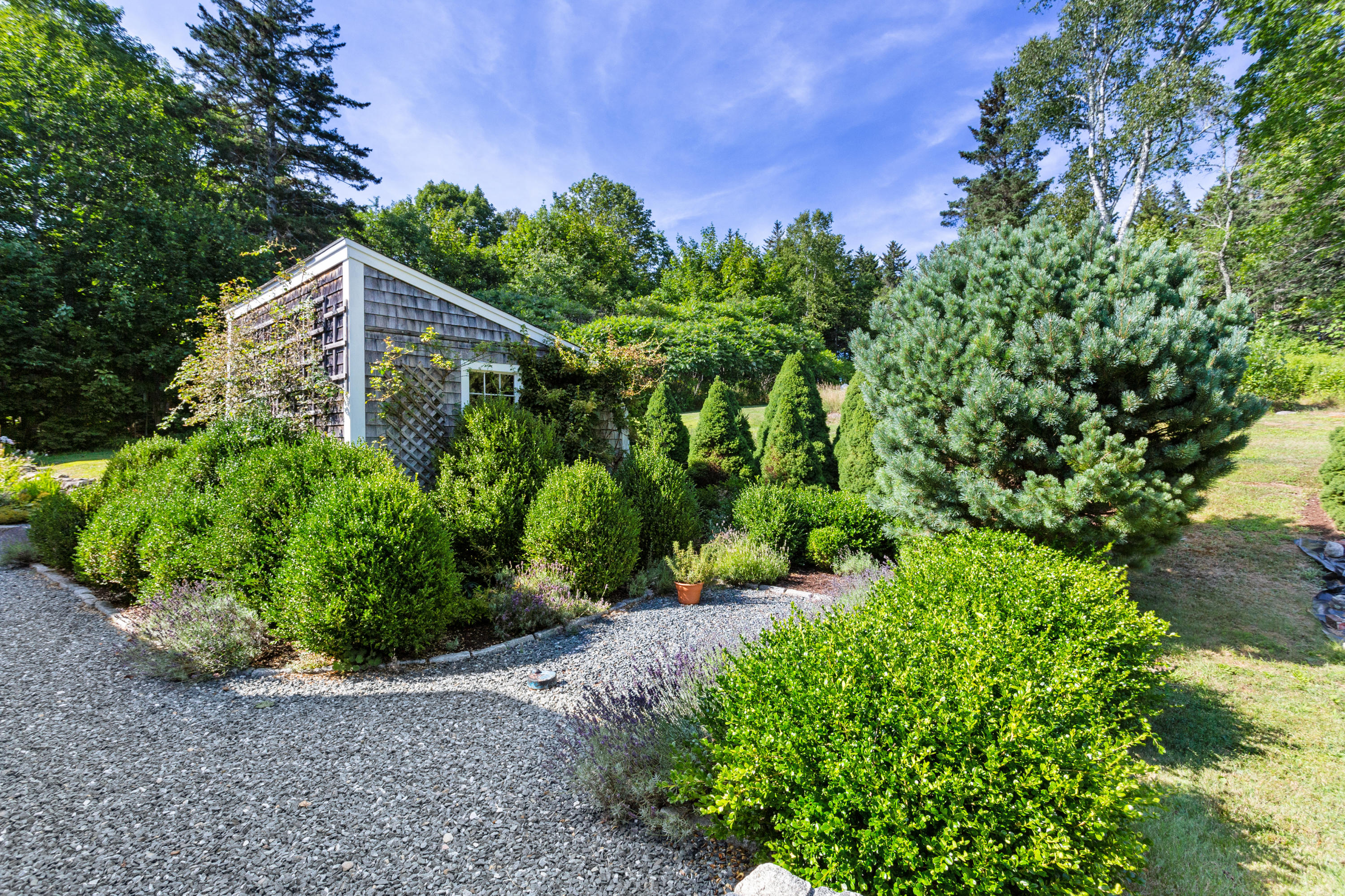 557 Reach Road Sargentville, ME 04673 - Photo 27 of 36 6b. 20200806-IMG_7685
