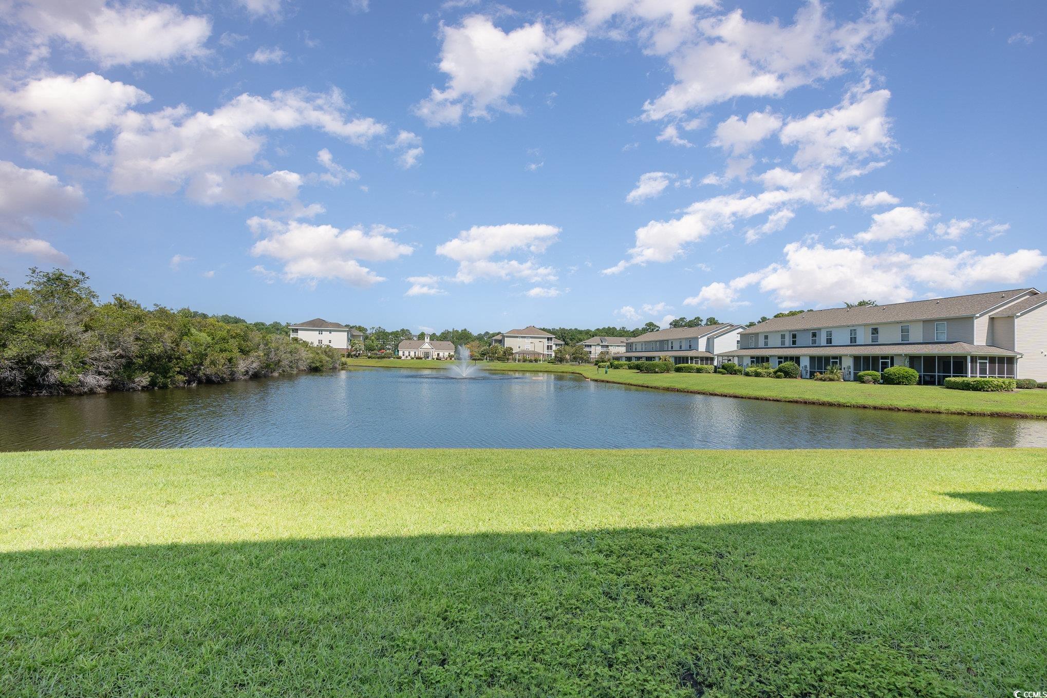 336 Kiskadee Loop, Unit A Conway, SC 29526 - Photo 4 of 27 View of water feature