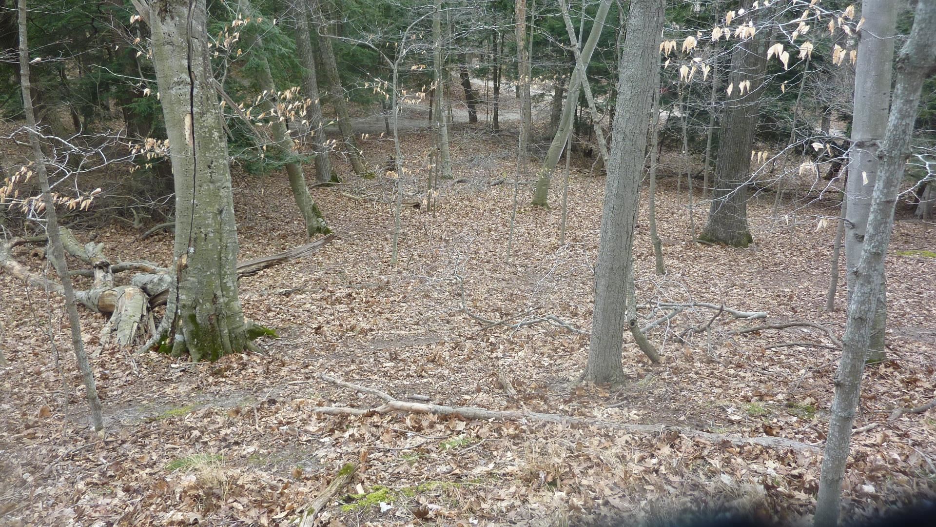 0 Old State Road Frankfort, MI 49635 - Photo 12 of 17