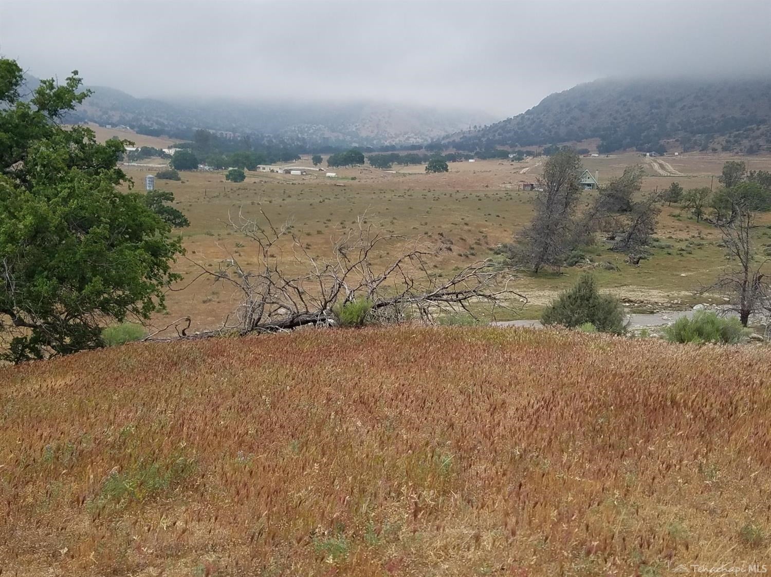 0 Paradise Valley Road Caliente, CA 93518 - Photo 20 of 26 Gallery Image 20