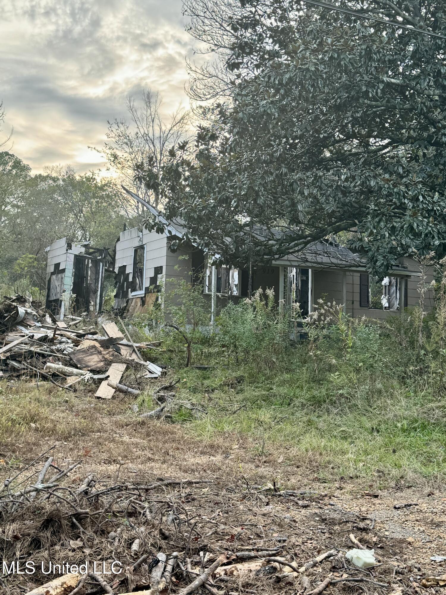 919 Combs Street Jackson, MS 39204 - Photo 1 of 2 IMG_1829