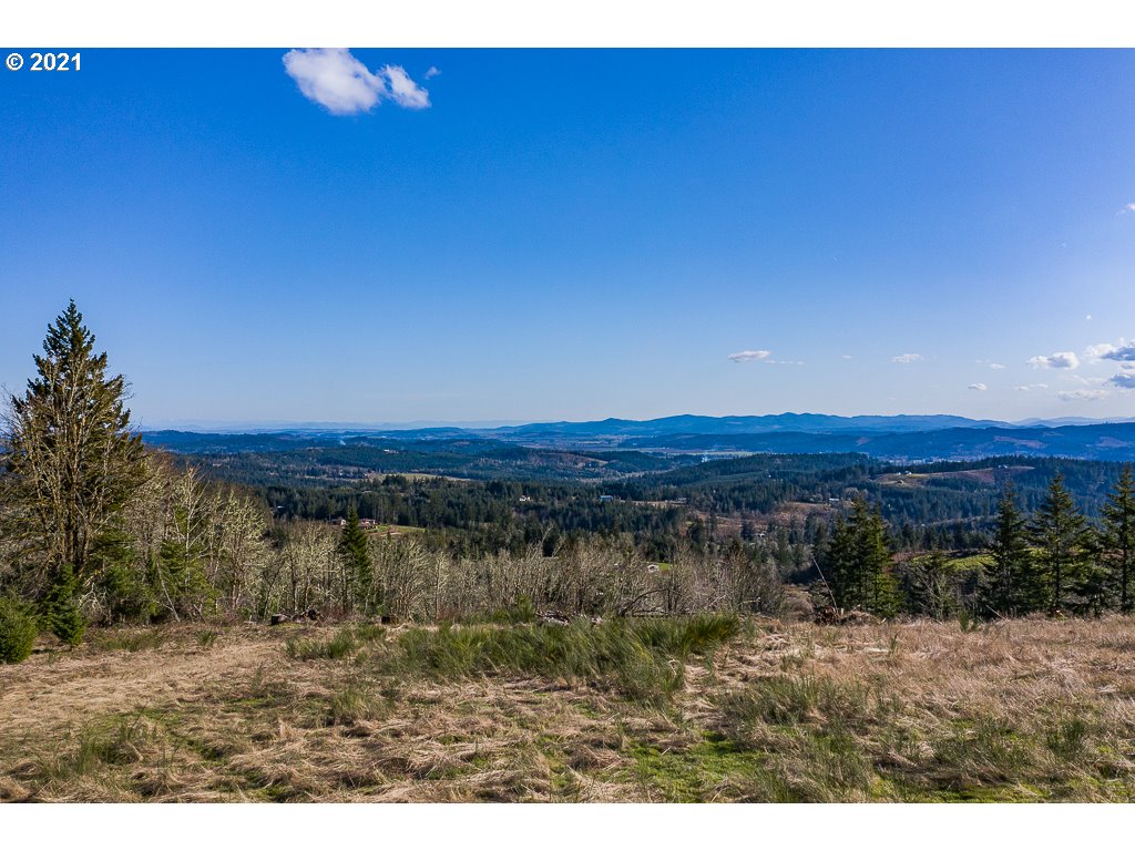 Richardson Road Dallas, OR 97338 - Photo 2 of 16