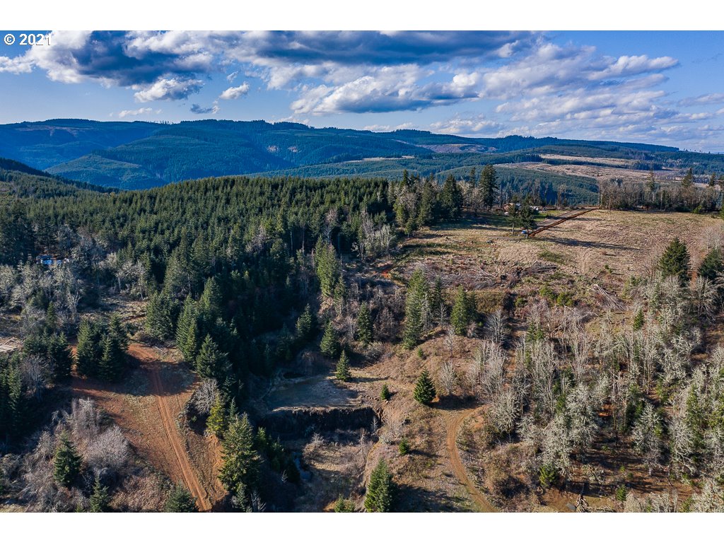 Richardson Road Dallas, OR 97338 - Photo 11 of 16