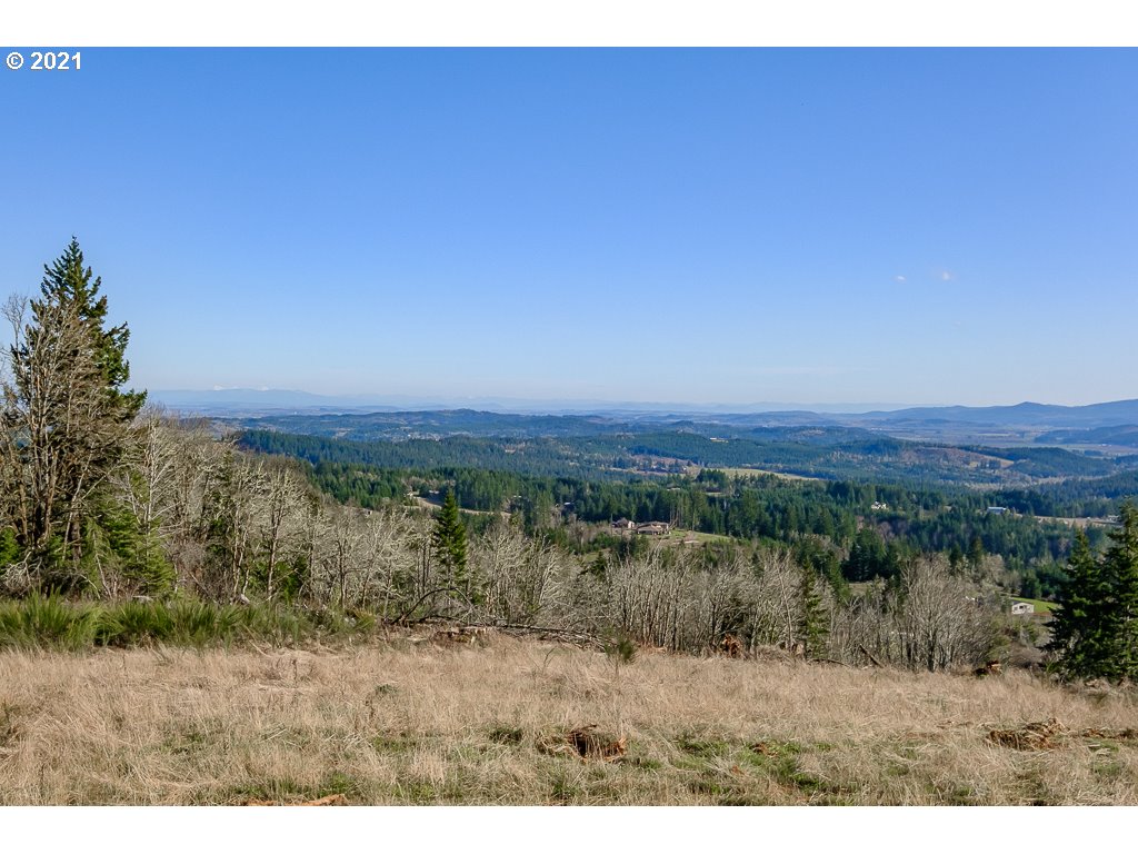Richardson Road Dallas, OR 97338 - Photo 12 of 16