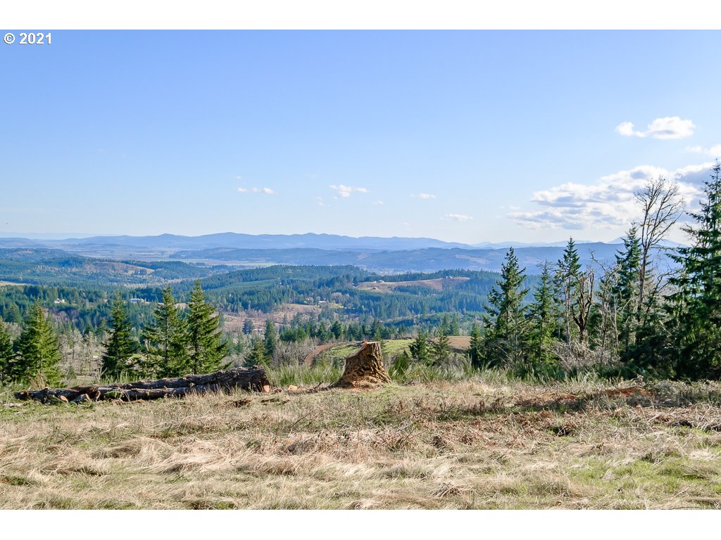 Richardson Road Dallas, OR 97338 - Photo 13 of 16