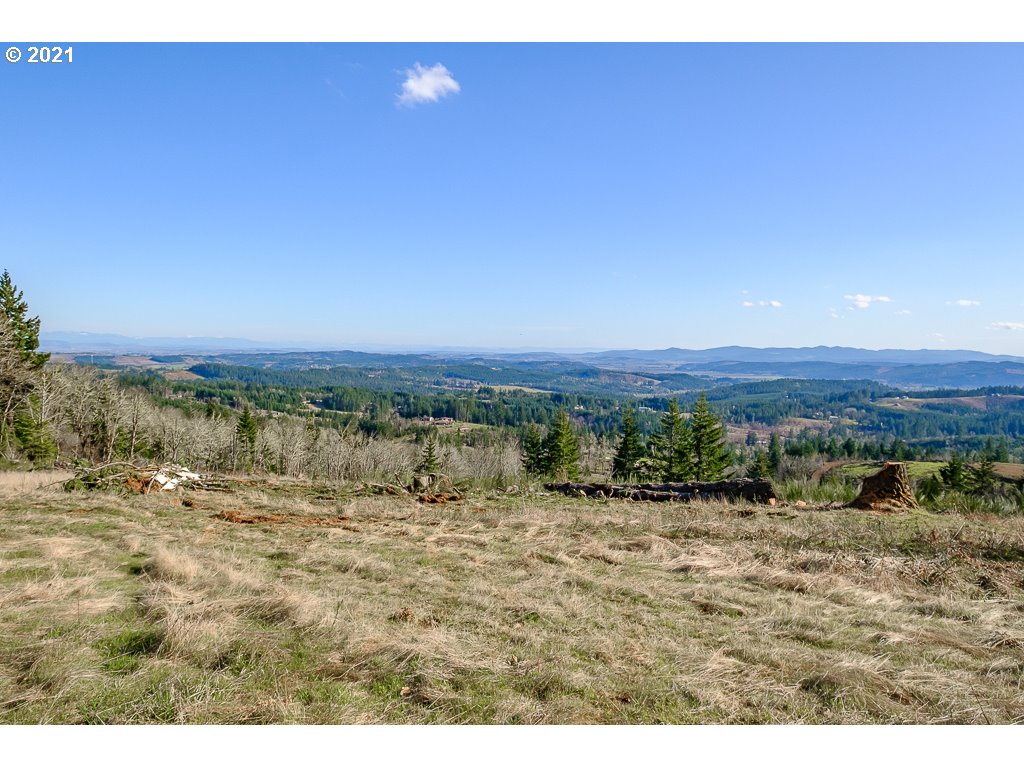 Richardson Road Dallas, OR 97338 - Photo 14 of 16