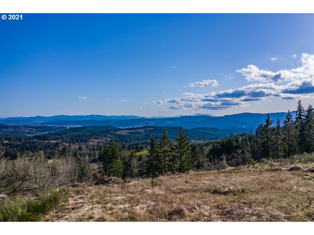 Richardson Road Dallas, OR 97338 - Photo 3 of 16