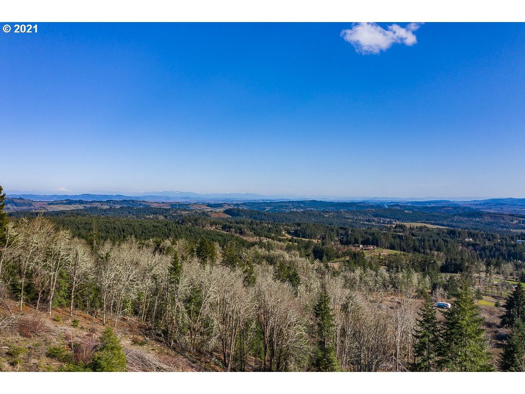 Richardson Road Dallas, OR 97338 - Photo 4 of 16