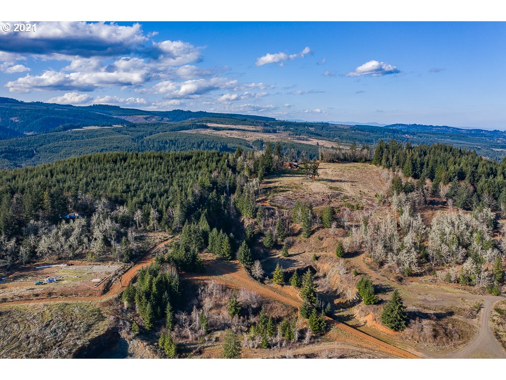 Richardson Road Dallas, OR 97338 - Photo 5 of 16