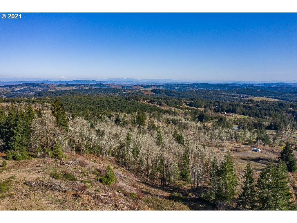 Richardson Road Dallas, OR 97338 - Photo 8 of 16