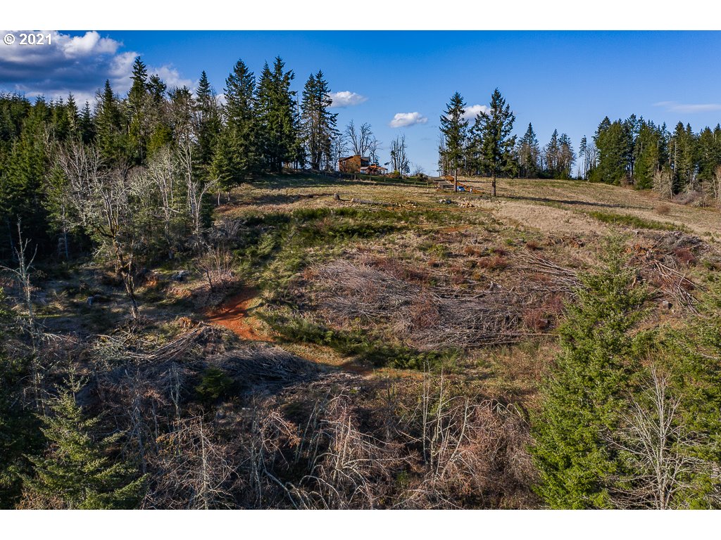 Richardson Road Dallas, OR 97338 - Photo 10 of 16