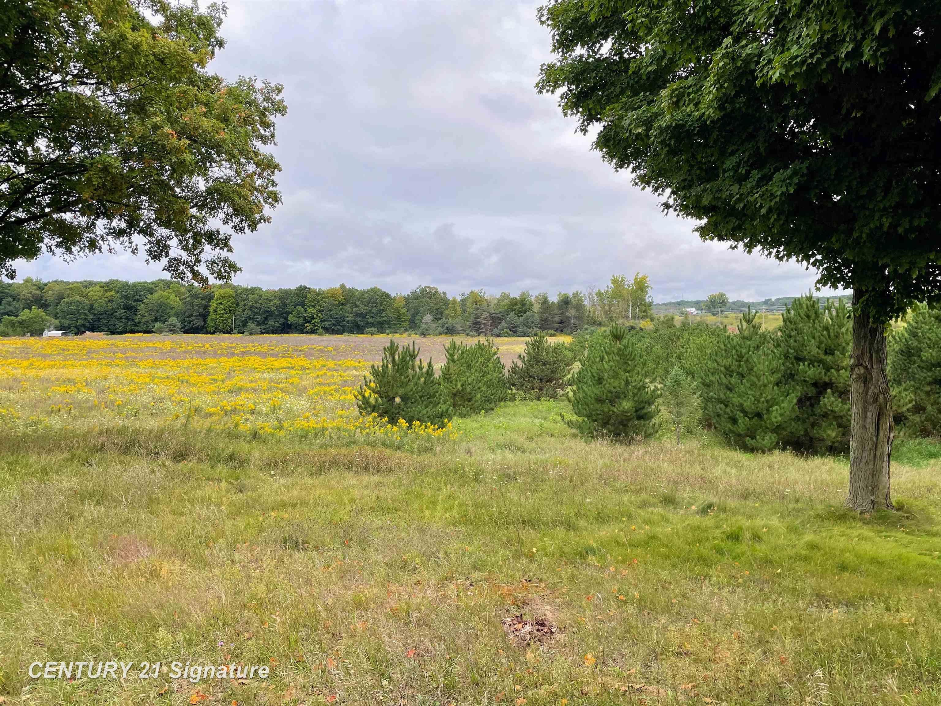 10760 South Winn Road Blanchard, MI 49310 - Photo 28 of 34