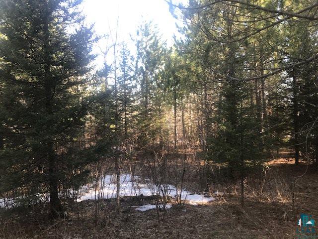 Xx Xx Superior Heights Road Two Harbors, MN 55616 - Photo 11 of 11