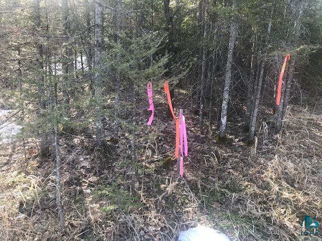 Xx Xx Superior Heights Road Two Harbors, MN 55616 - Photo 4 of 11