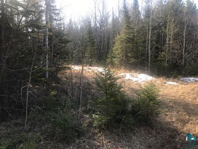 Xx Xx Superior Heights Road Two Harbors, MN 55616 - Photo 7 of 11