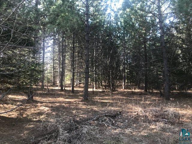 Xx Xx Superior Heights Road Two Harbors, MN 55616 - Photo 8 of 11