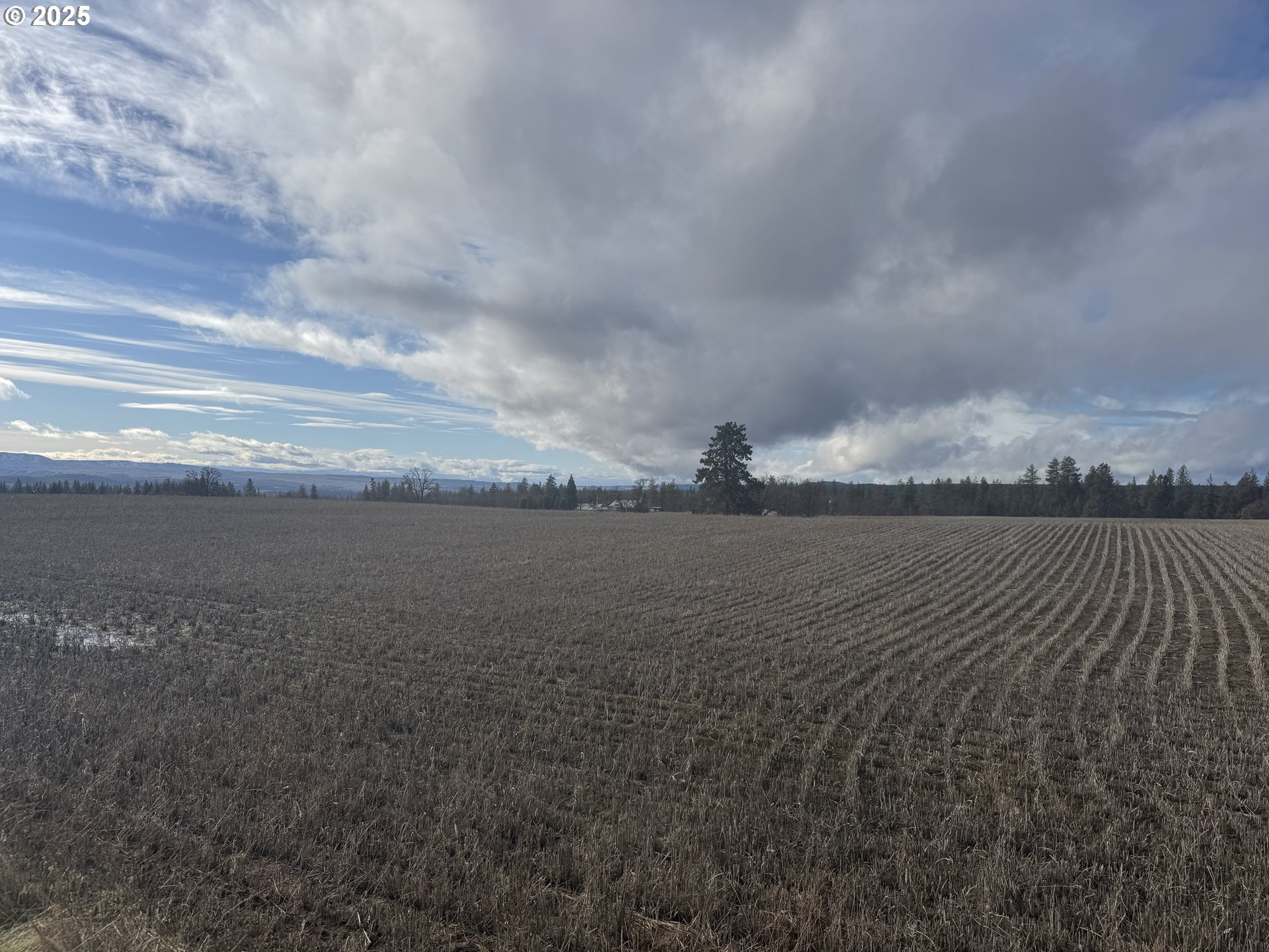 2 Mountainview Road, Unit 2 Goldendale, WA 98620 - Photo 8 of 12