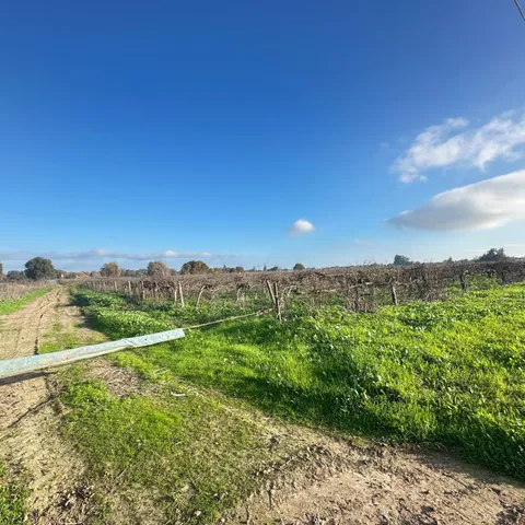 $1,475,000 | 27350 Thornton Road, Thornton, CA 95632