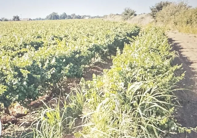 a view of an ocean and beach