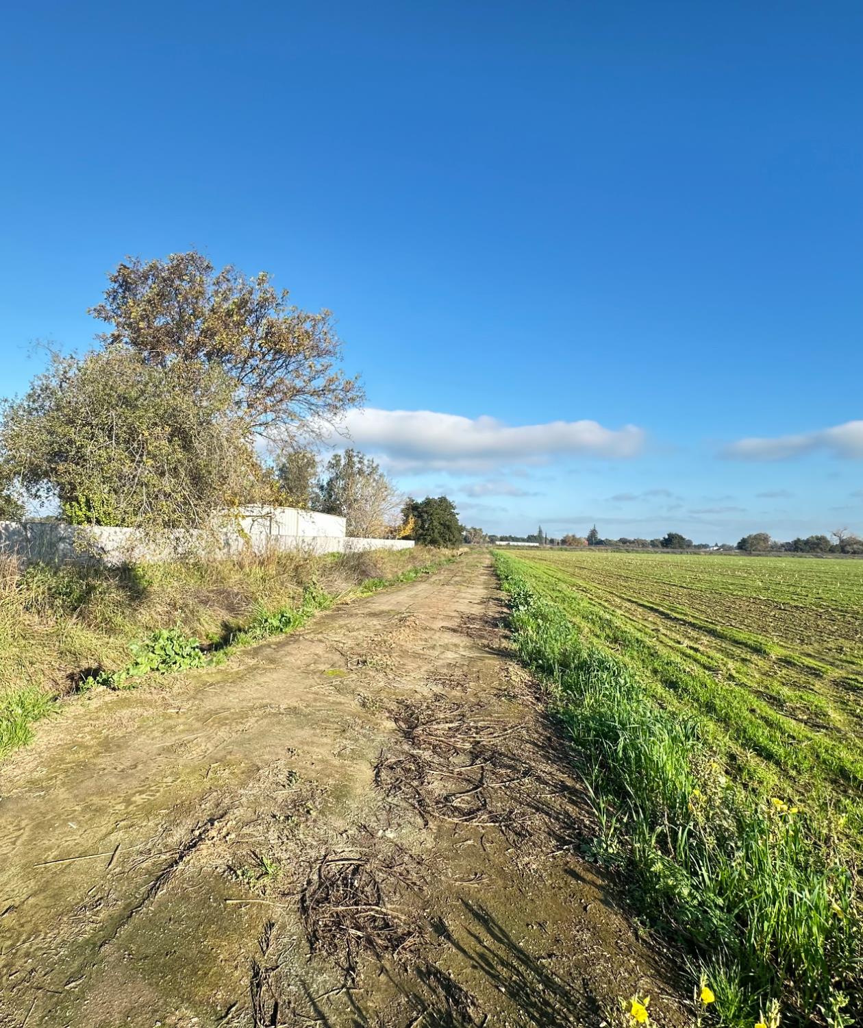 27350 Thornton Road Thornton, CA 95632 - Photo 5 of 11 Irrigation ditch within the property line.Riparian rights included with this property.
