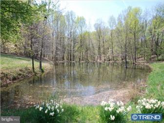 3 Ringfield Road Chadds Ford, PA 19317 - Photo 5 of 6 Gallery Image 5
