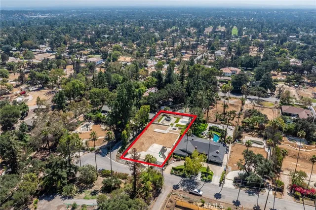 a small garden covered with tall trees