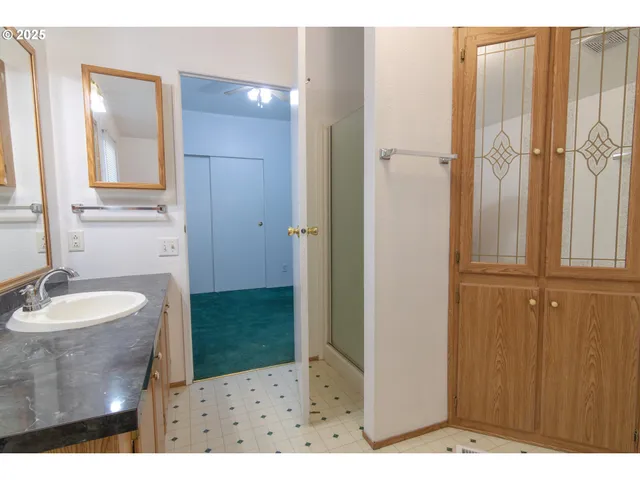 a bathroom with a sink a mirror and a shower