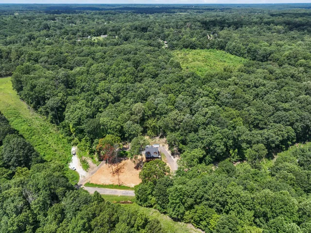 an aerial view of residential houses with outdoor space and trees