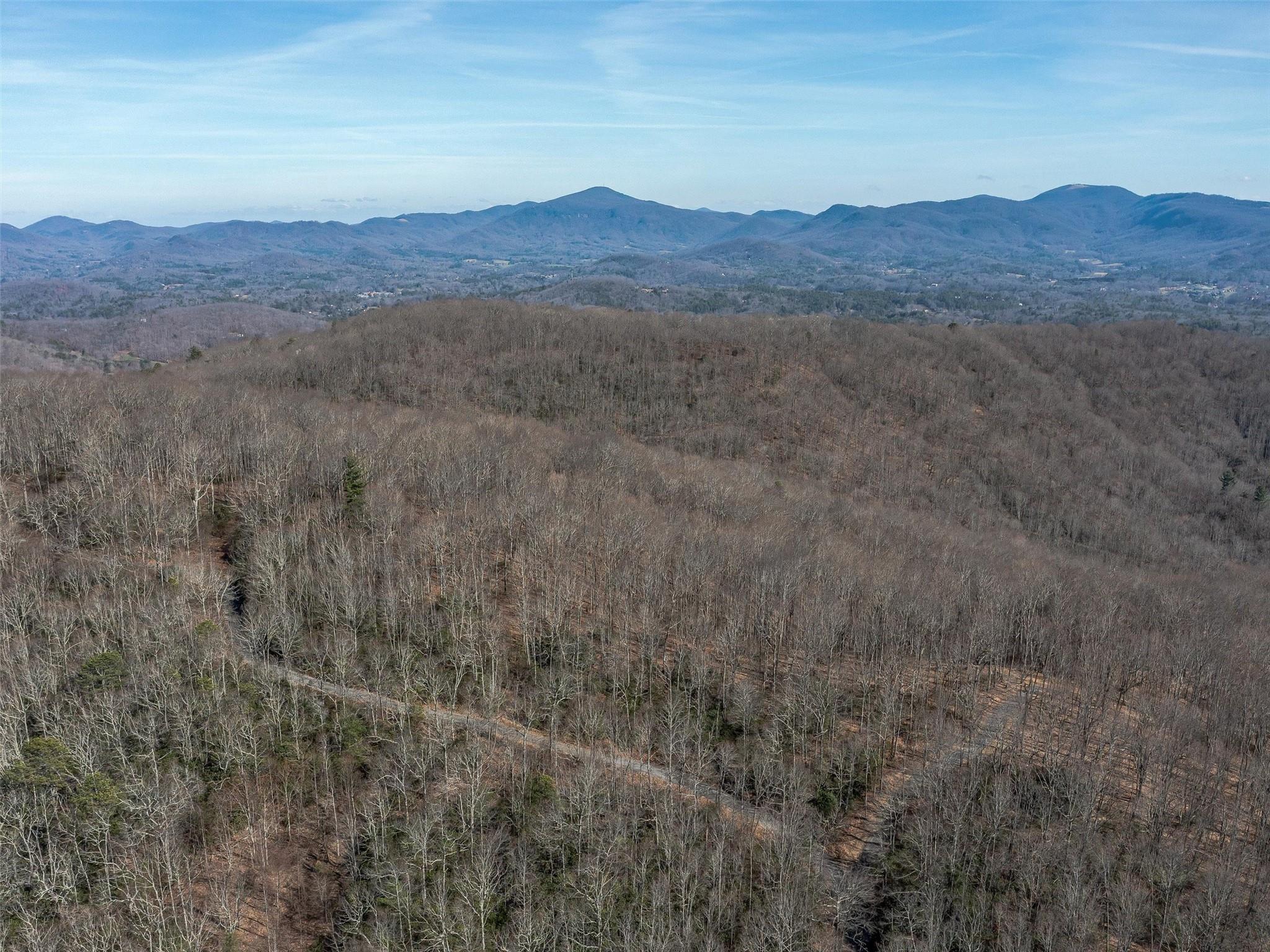 9999-1 Merrills Ridge Road, Unit 1 Asheville, NC 28803 - Photo 11 of 35 Gallery Image 11