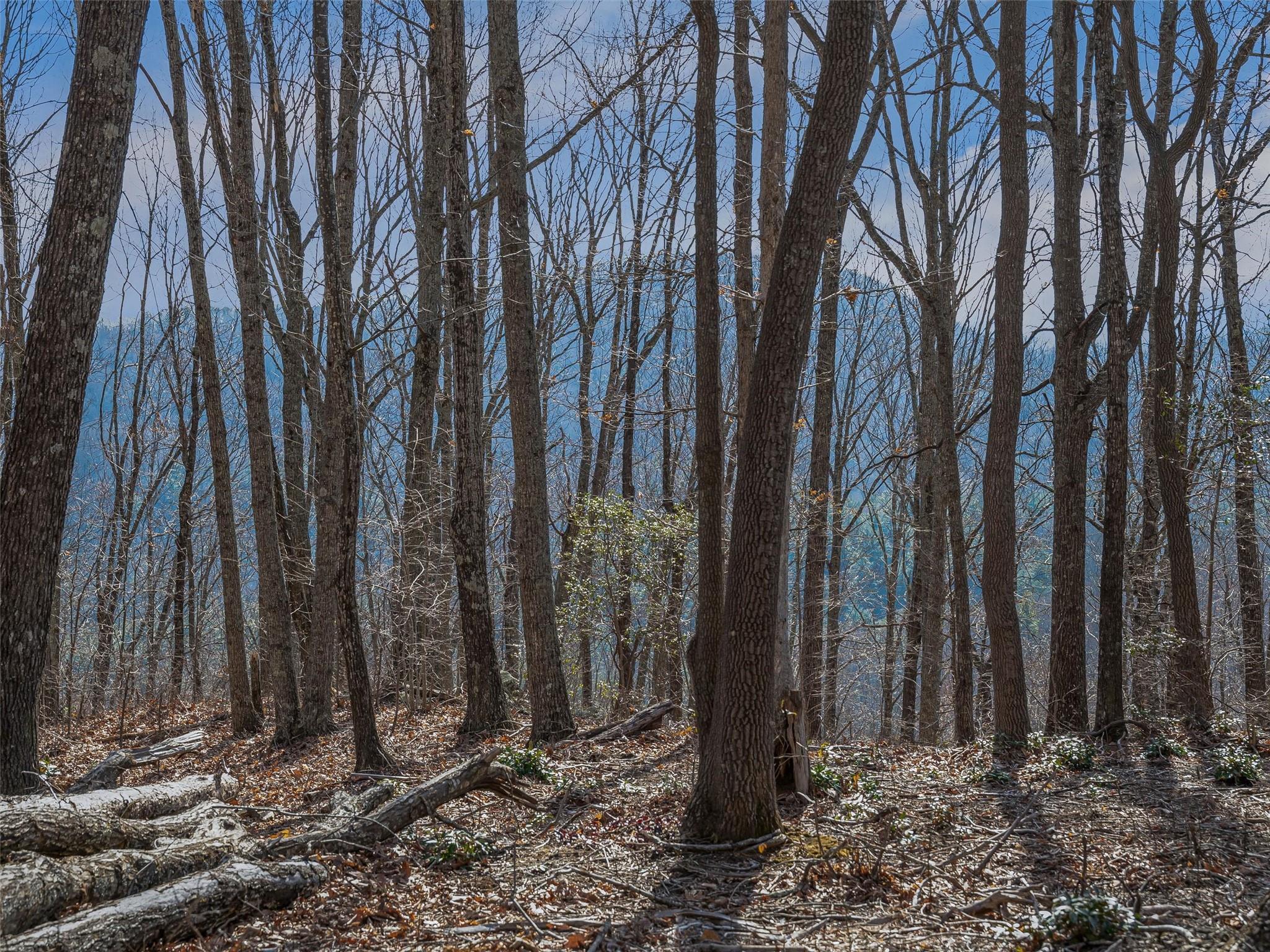 9999-1 Merrills Ridge Road, Unit 1 Asheville, NC 28803 - Photo 24 of 35 Gallery Image 24