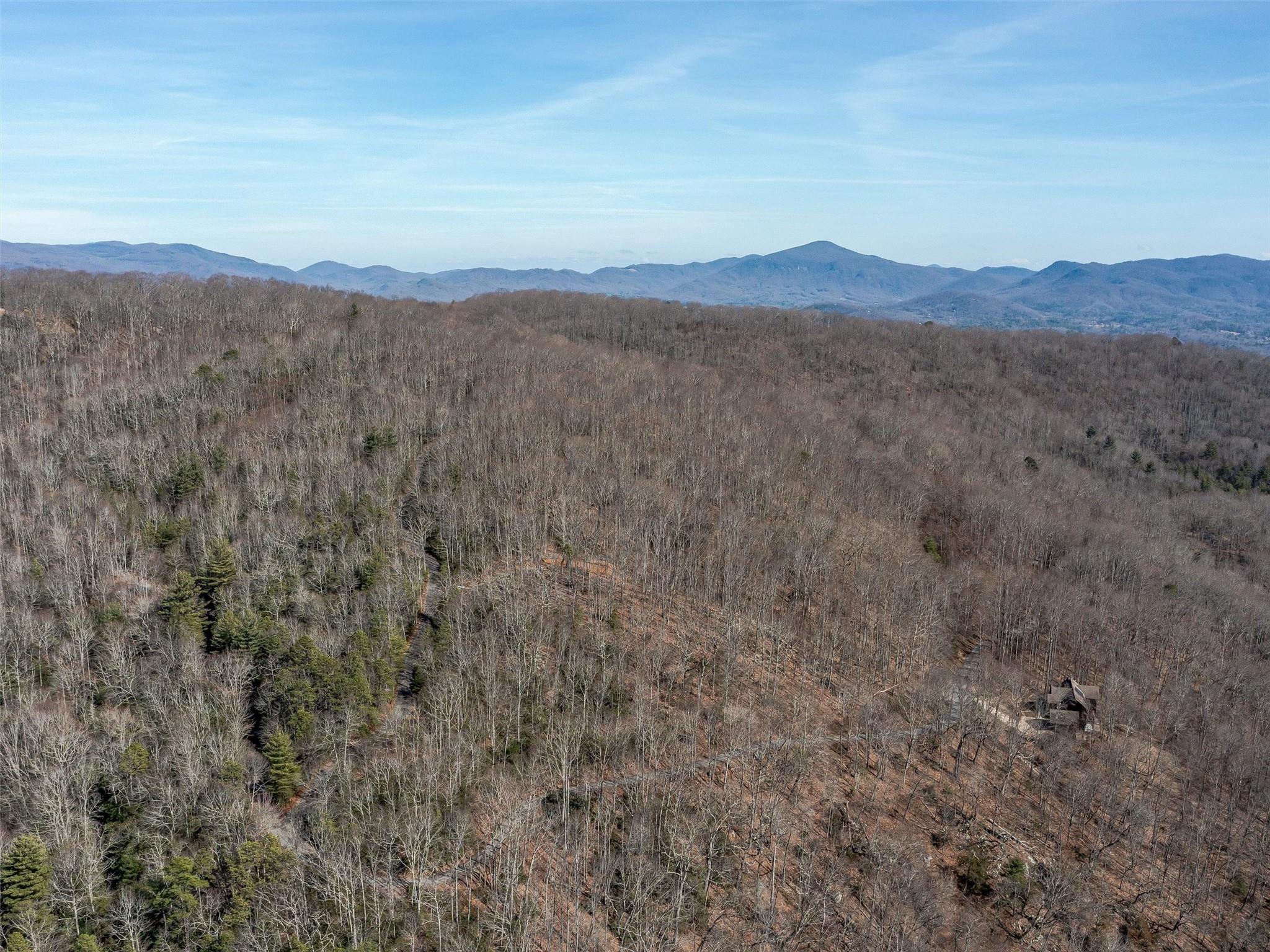 9999-1 Merrills Ridge Road, Unit 1 Asheville, NC 28803 - Photo 25 of 35 Gallery Image 25