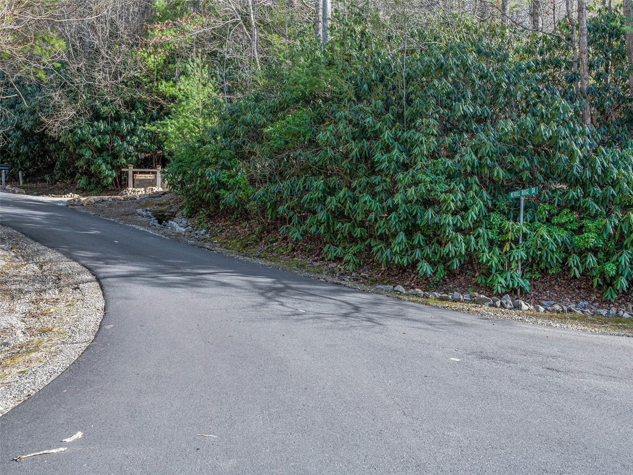 9999-1 Merrills Ridge Road, Unit 1 Asheville, NC 28803 - Photo 3 of 35 Gallery Image 3
