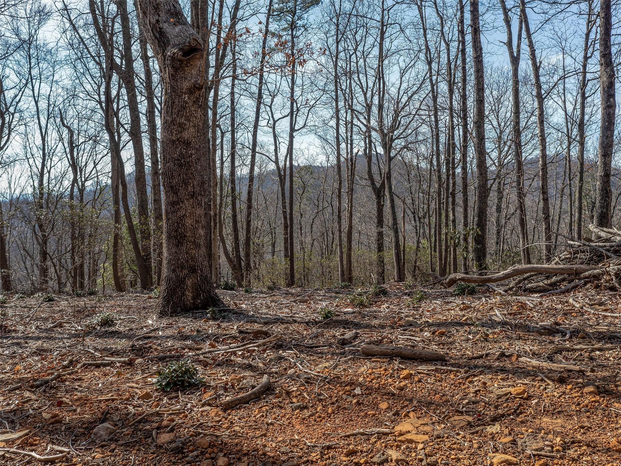 9999-1 Merrills Ridge Road, Unit 1 Asheville, NC 28803 - Photo 6 of 35 Gallery Image 6
