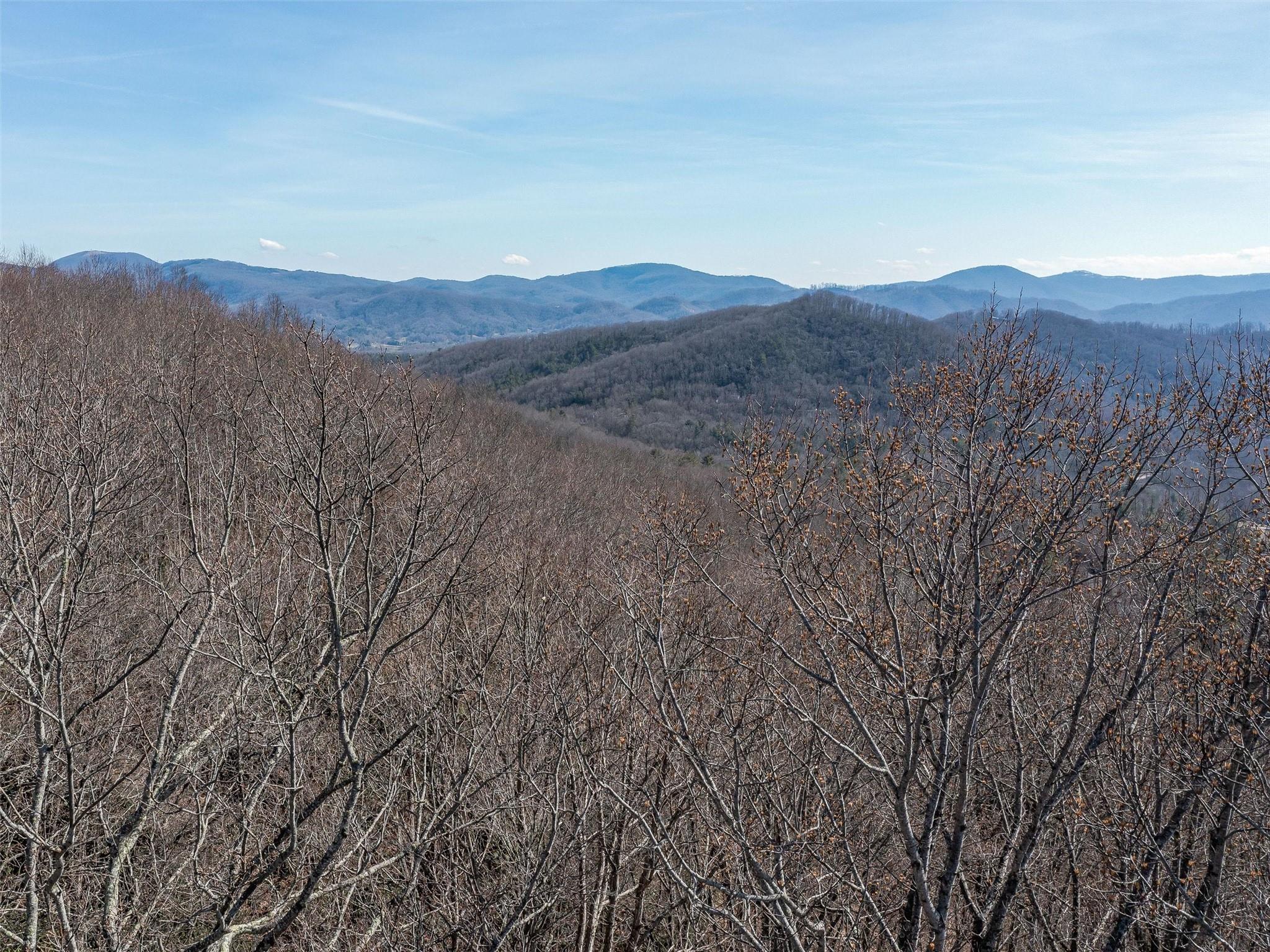 9999-1 Merrills Ridge Road, Unit 1 Asheville, NC 28803 - Photo 7 of 35 Gallery Image 7