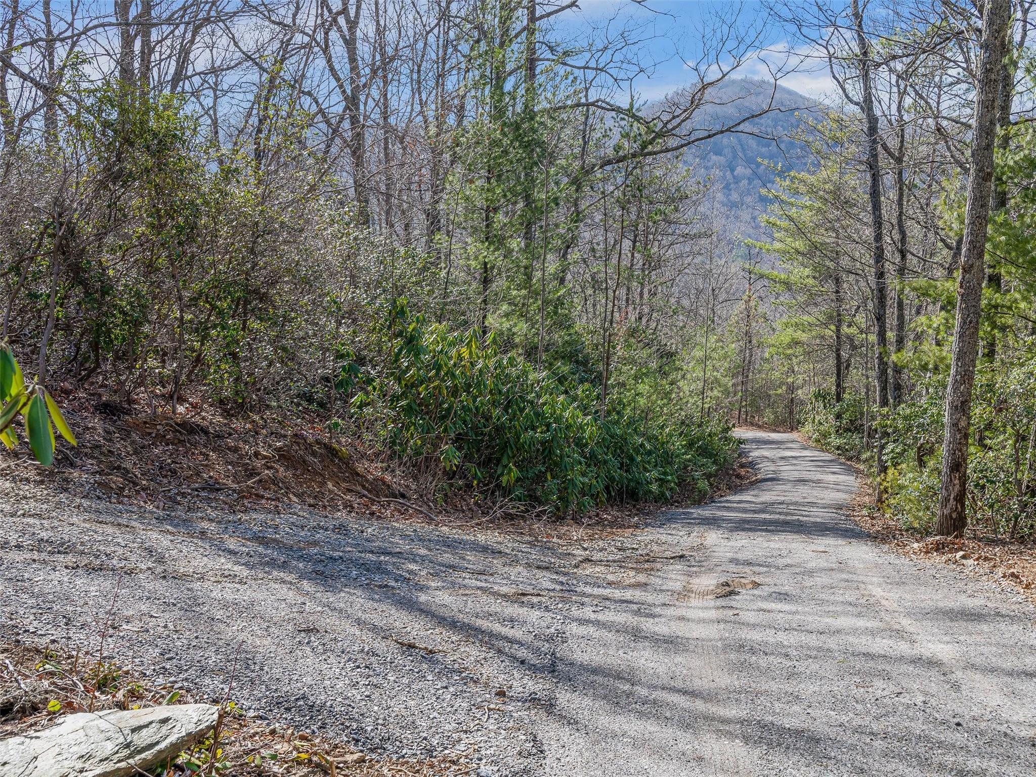 9999-1 Merrills Ridge Road, Unit 1 Asheville, NC 28803 - Photo 10 of 35 Gallery Image 10