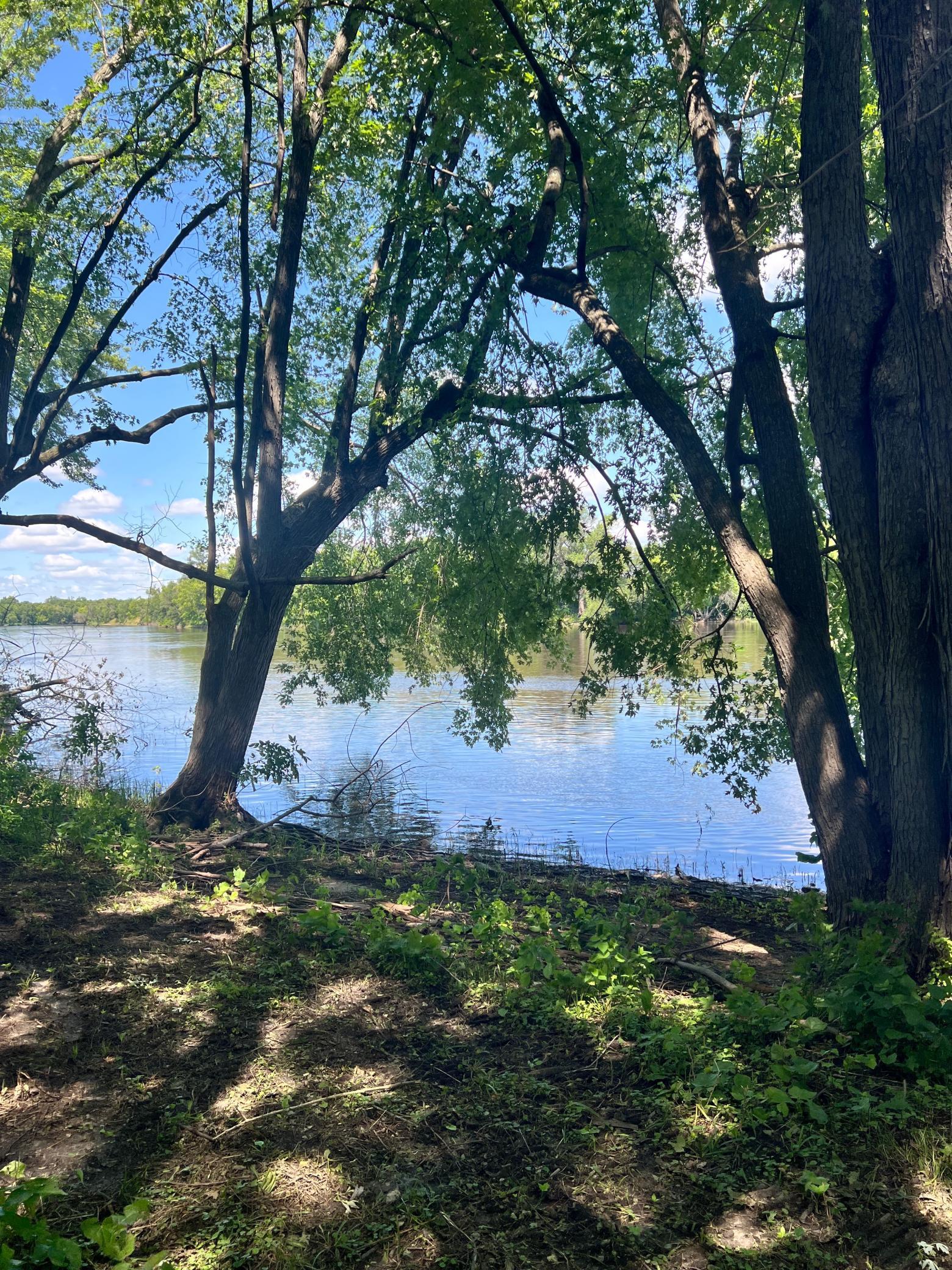 12620 Overlook Road Dayton, MN 55327 - Photo 27 of 30