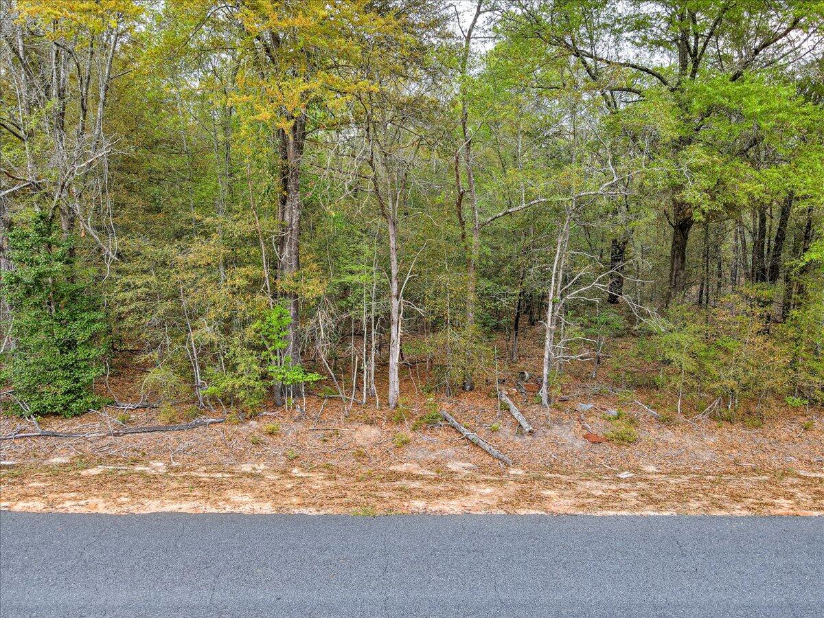 0 Millers Pond Road, Unit LOT 5 Salley, SC 29137 - Photo 7 of 13