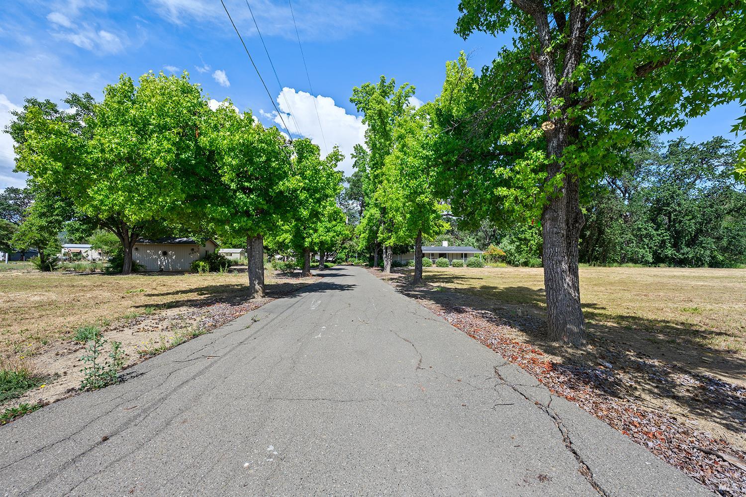 11997 Riata Road Lower Lake, CA 95457 - Photo 3 of 29 Lots of trees and a paved driveway lead to this 2 bedroom