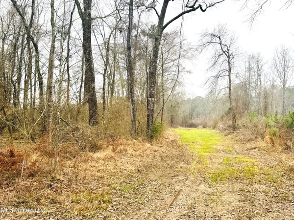 $189,000 | 4 Sidney Ellzey Road, Tylertown, MS 39667