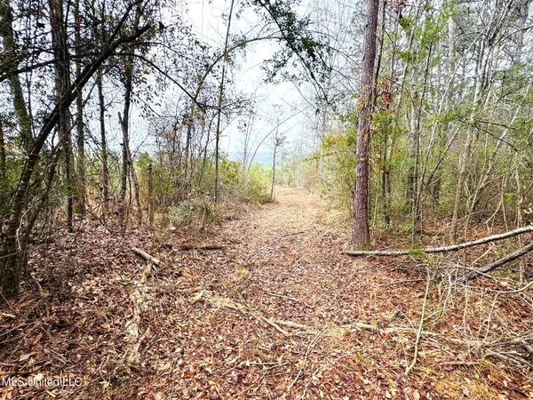 $189,000 | 4 Sidney Ellzey Road, Tylertown, MS 39667