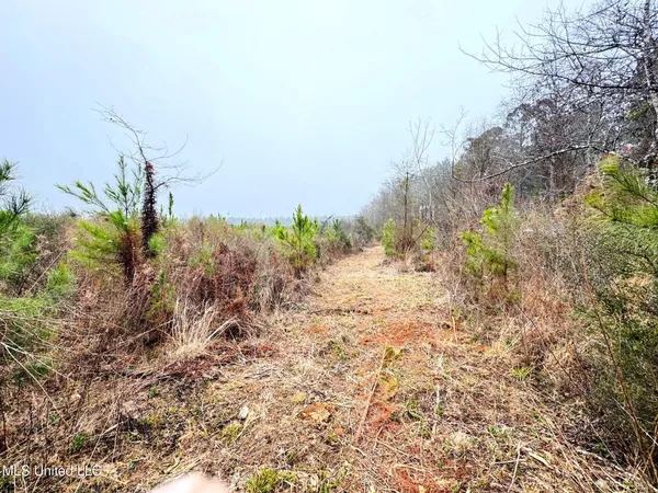 $189,000 | 4 Sidney Ellzey Road, Tylertown, MS 39667