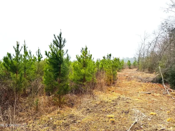 $189,000 | 4 Sidney Ellzey Road, Tylertown, MS 39667