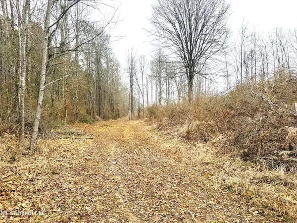 $189,000 | 4 Sidney Ellzey Road, Tylertown, MS 39667