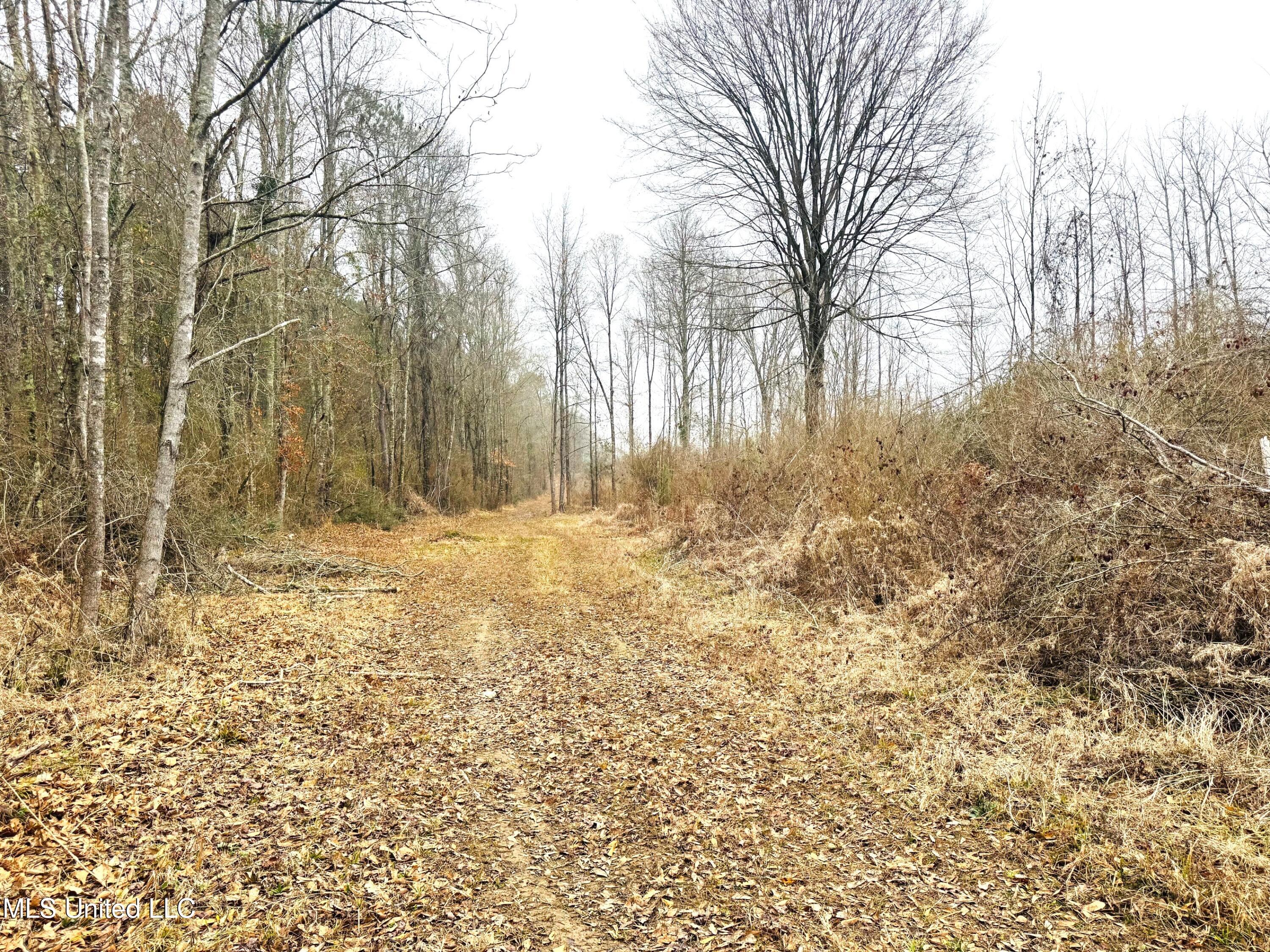 4 Sidney Ellzey Road Tylertown, MS 39667 - Photo 17 of 22 Ellzey - Trail